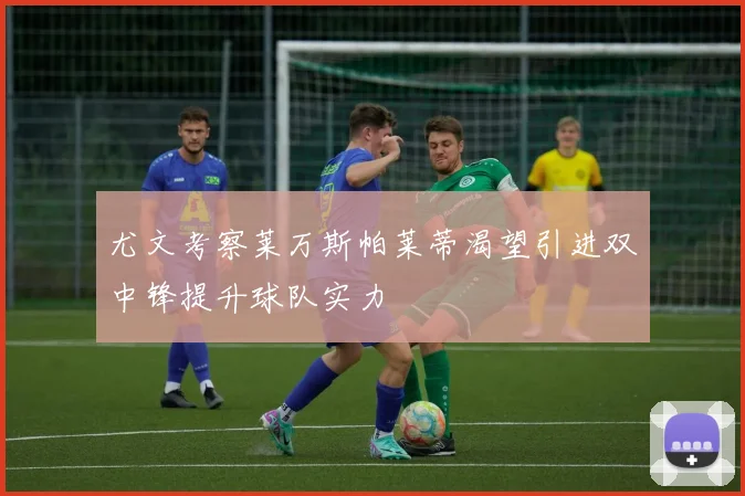 尤文考察莱万斯帕莱蒂渴望引进双中锋提升球队实力